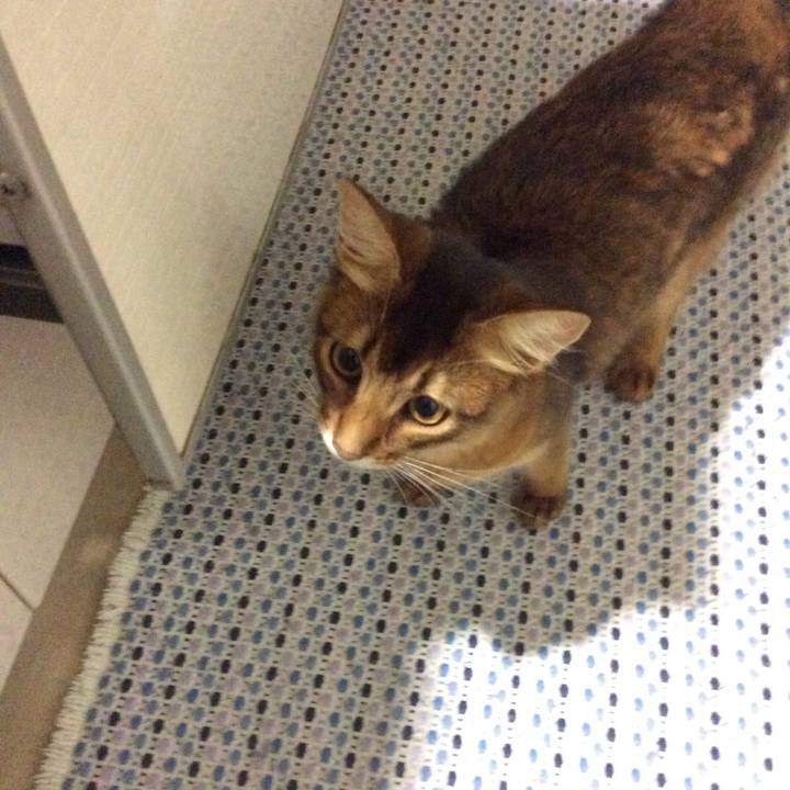 B63681fd d227 4644 a772 727d65aa6fa9 1566850808436