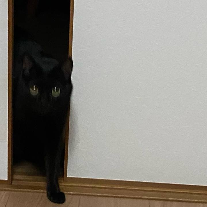 B6368787 9c6a 4d93 86cf f202ddabad4e 1700824458100