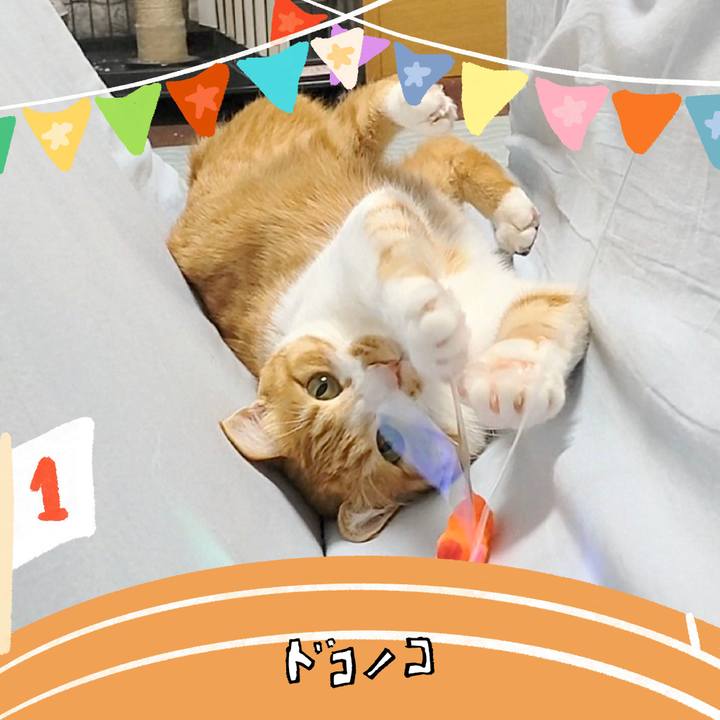 B6369361 c4c3 4a91 a2e1 d6f66d684fdc 1761347954877