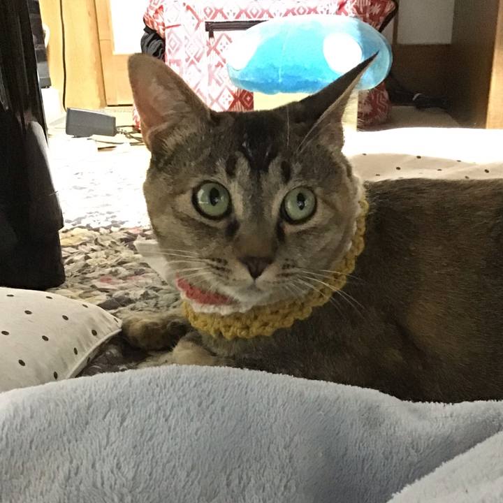 B636b922 673b 4fdd b431 2c70707d1987 1623755179270