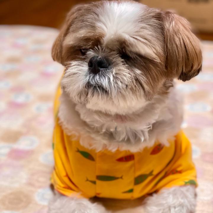 B636befe fb00 4e19 a3ea 80cfb05639bb 1630935429224