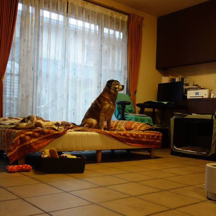 B636e975 84de 48a1 a99e 0026e2f13a83 1549848840207