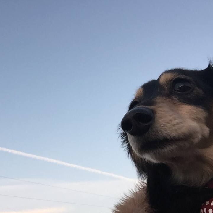 B6375b5c 06ed 4307 8539 774b983a60ea 1516092075520