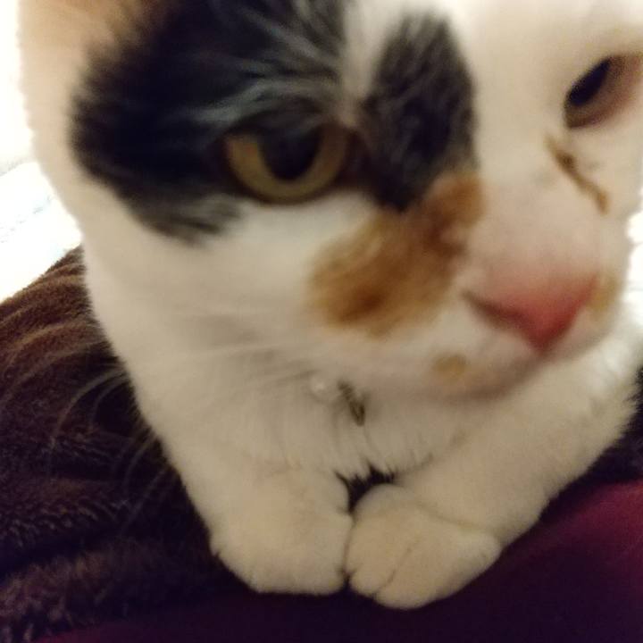 B6375bee 787f 4b1d 861b a6c8347091a9 1637902481668