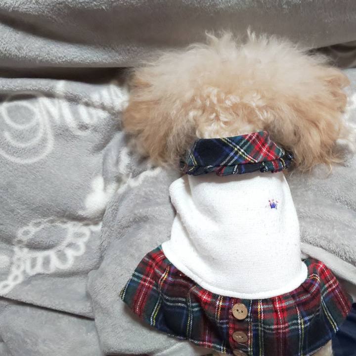 B6375cc4 0d52 4e28 aa7a 26fa1959692c 1648619279456