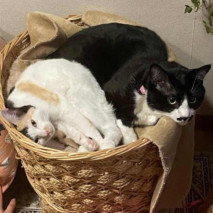 B6377a9d 6a95 48d4 96e1 335acc11a23d 1674351114299