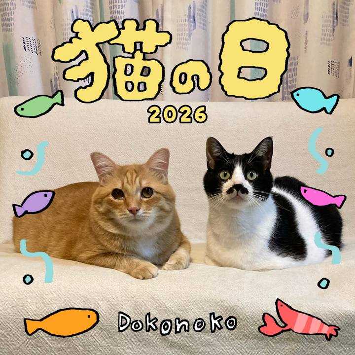 B6379533 62c0 4614 814b 72d7c530b813 1771762077351