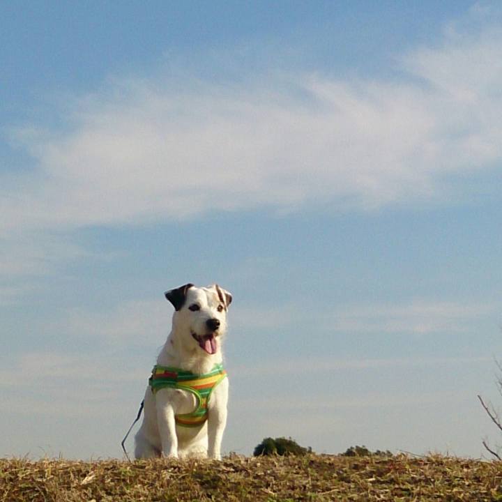 B6379988 3328 49dd 888f aad4720f768f 1516165337829