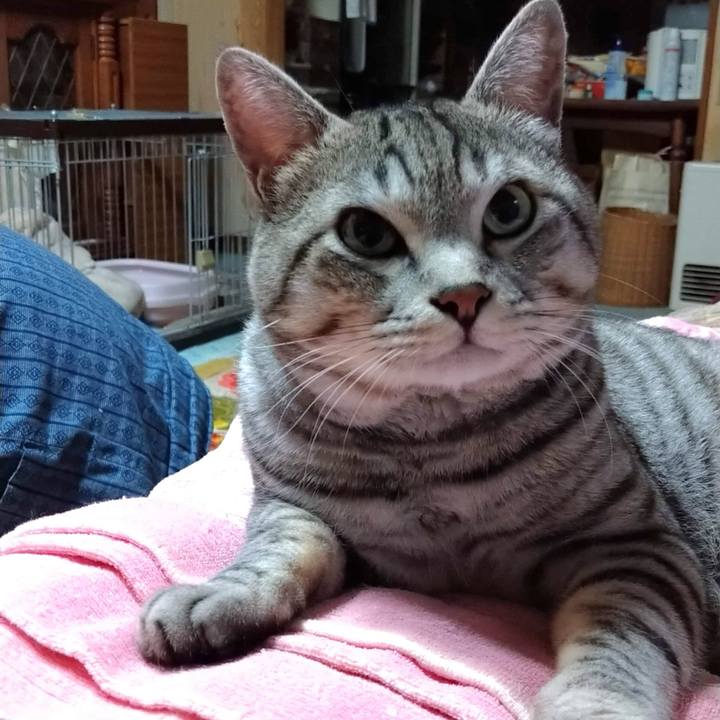 B637c078 7d62 4917 8461 26a6712fa755 1670167909358