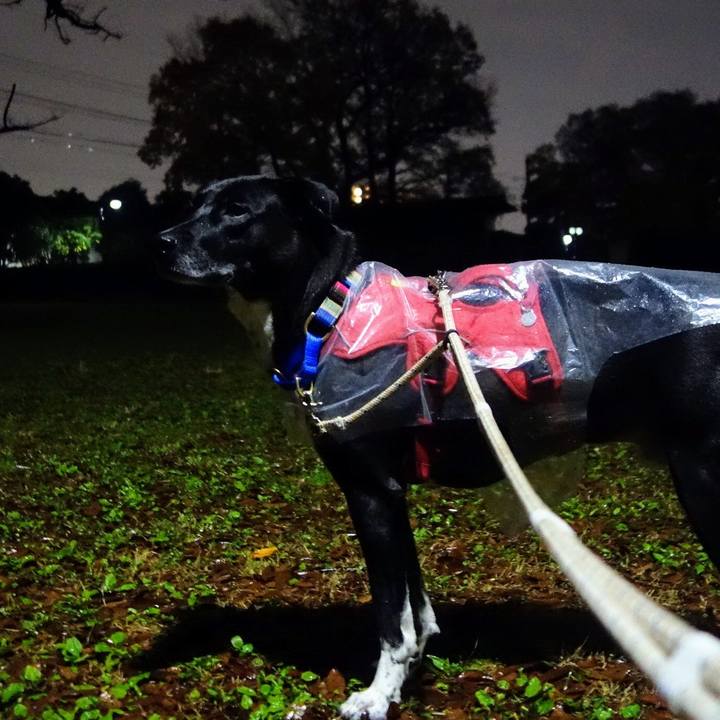 B637c5d3 cbe6 4974 9b8e 6fbee2707d08 1638962404299