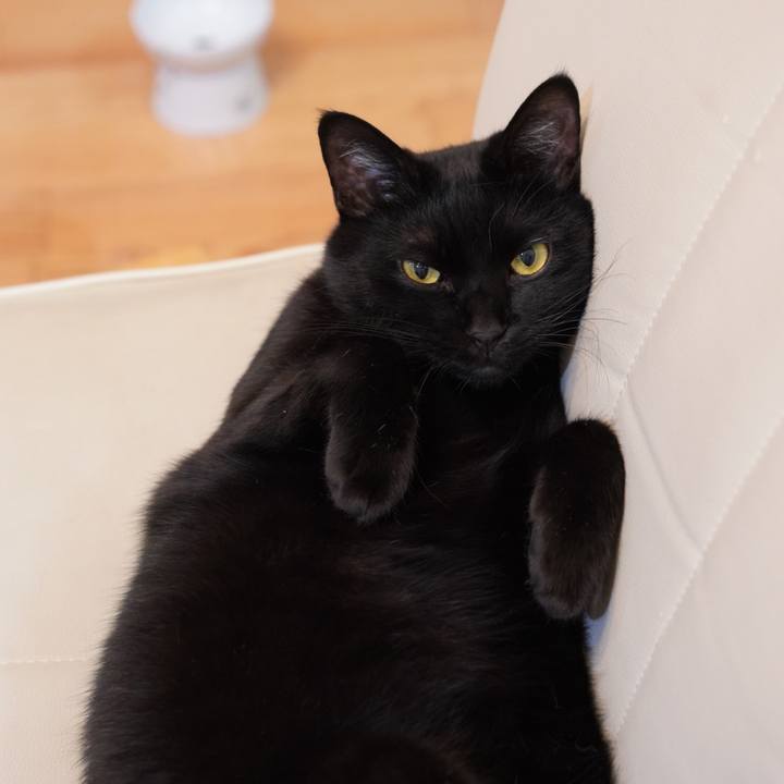 B637e73d 1610 42b4 abc6 10d1e67067ba 1624937586340