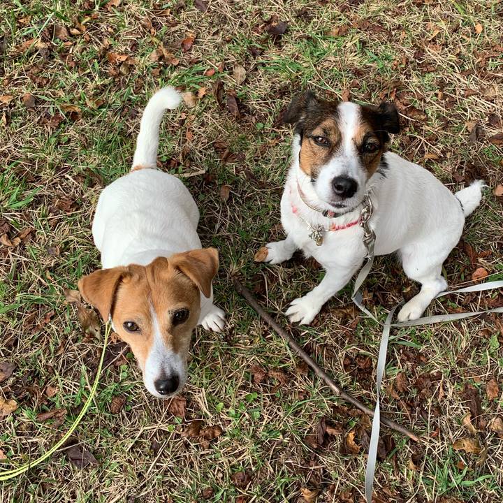 B637ed9a 3c30 4162 bcee dc9547be46da 1604732263441