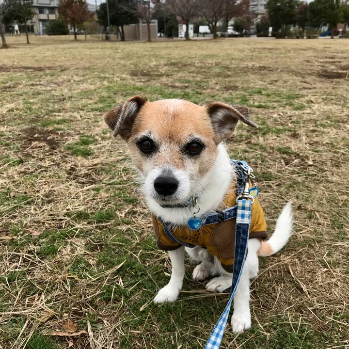 B637f988 bcd8 49bc 867f 00b3263df018 1606975507301