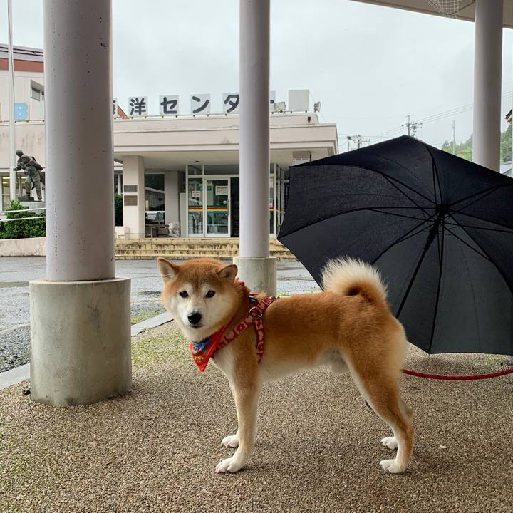 B637fa06 1721 4ee1 91e4 5d09caab519c 1602147314499