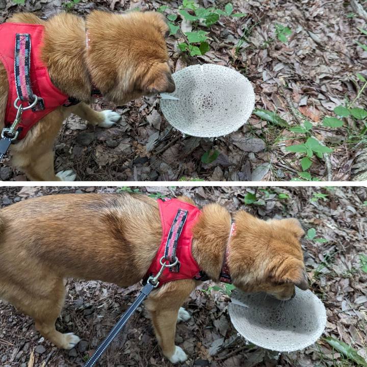 B638154d b1d8 4560 9c33 918e15d2db48 1693043831540