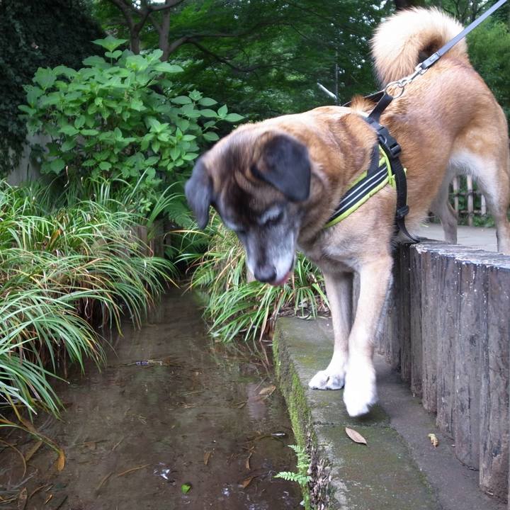 B6381803 2981 4f80 afb1 cce4d0eb790c 1582247826047