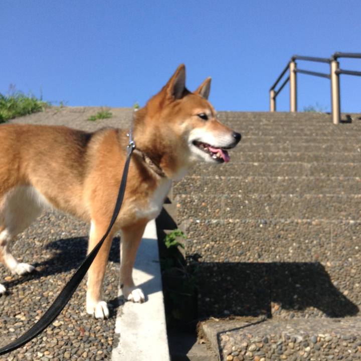 B6382458 e2bd 4868 a52b 4143b8b6a2f2 1509001211867