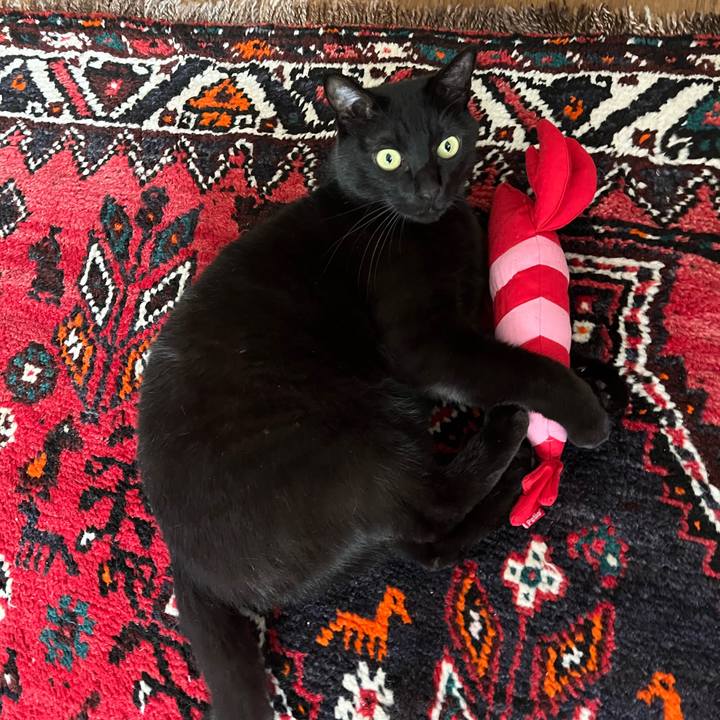 B63835bb 500e 481d aa4f dc38a20204d9 1739758271214