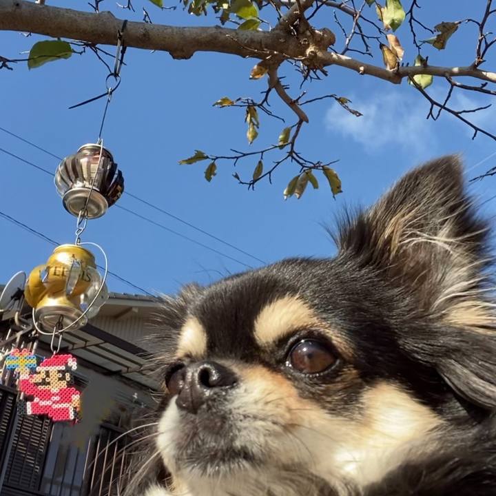 B6383960 613f 40a6 b551 28e8228dfcb2 1638410462672