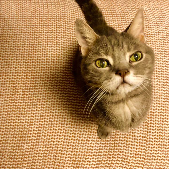 B6384762 740f 45f4 86d9 d6f5ae11cf2d 1571493561462