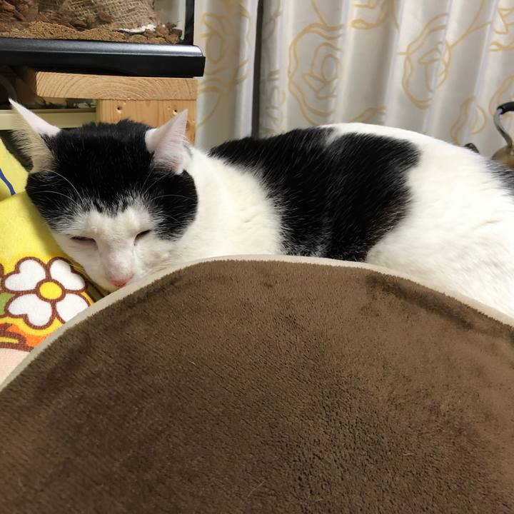 B6385940 b4e3 494b 9630 e3b89a38f9db 1546512112082