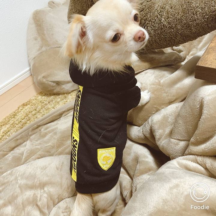 B6386d7a a6d7 4826 a803 b6d8d6189125 1608554440287