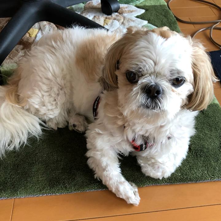 B6387a4f afa5 4d6b 9b5c 06aac993816a 1562535910831