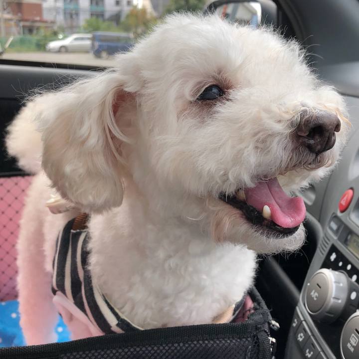 B63883c9 6ecf 4412 adac 15a197ded8e6 1539140706718