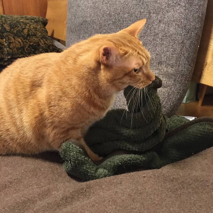 B638a76b f919 4316 a592 89198208bf20 1576883208632