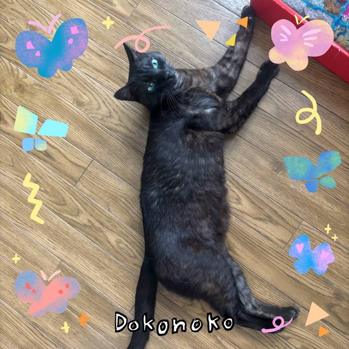 B63930e7 5d1a 4ae5 bef2 ad48da8e27c5 1711010611759