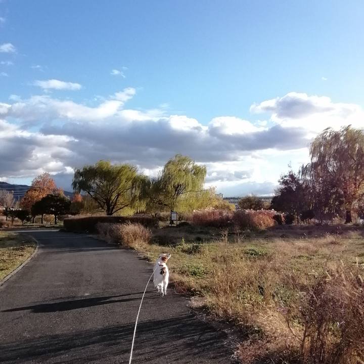 B63933ab 3fa0 4a4b 82df 5a72bdbdc889 1608021793109