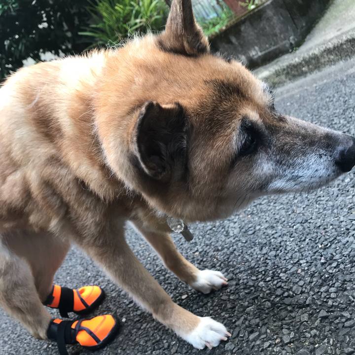 B6393afa 8261 4633 ab2d af71090c2bf9 1533162314549