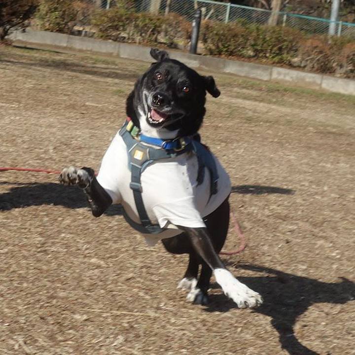 B6398001 a53e 4fbd 8f74 07dc8988af1f 1707701910077