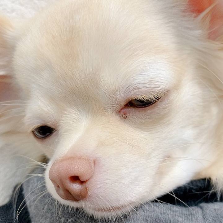 B639a3c5 0299 4767 9fa9 b7bbf1aba896 1603085751390