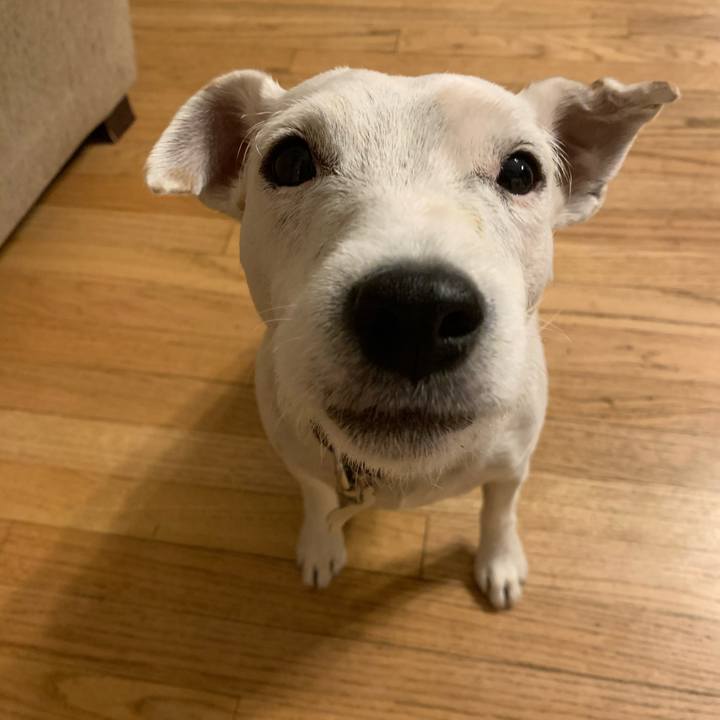 B63a1870 dfd6 4c6b bcf5 56f46a9fb40a 1602158014543