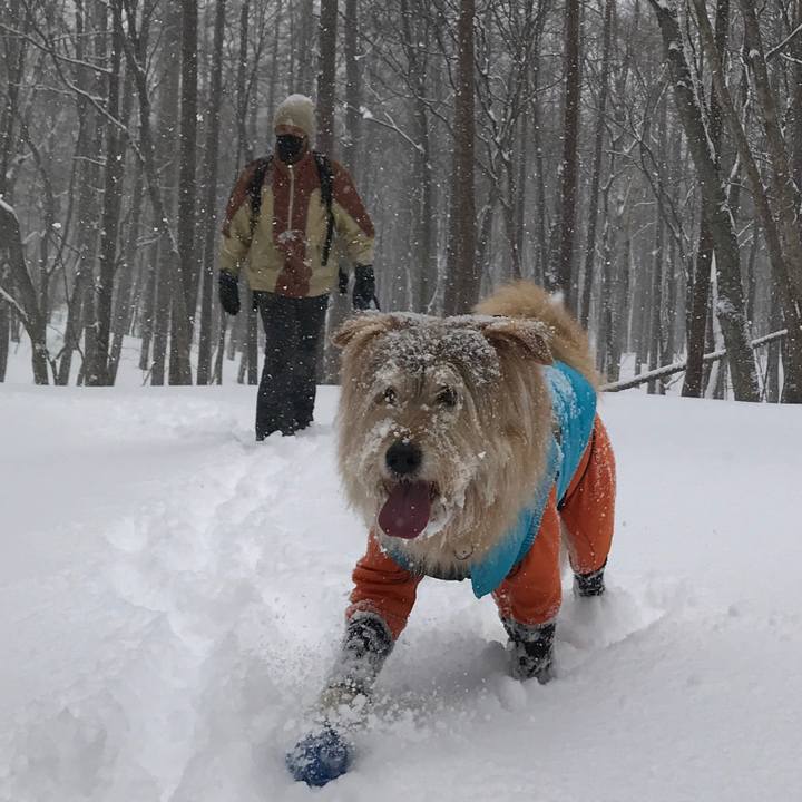 B63a205c 4376 4bba 959d b7aa09adcee8 1646606166675