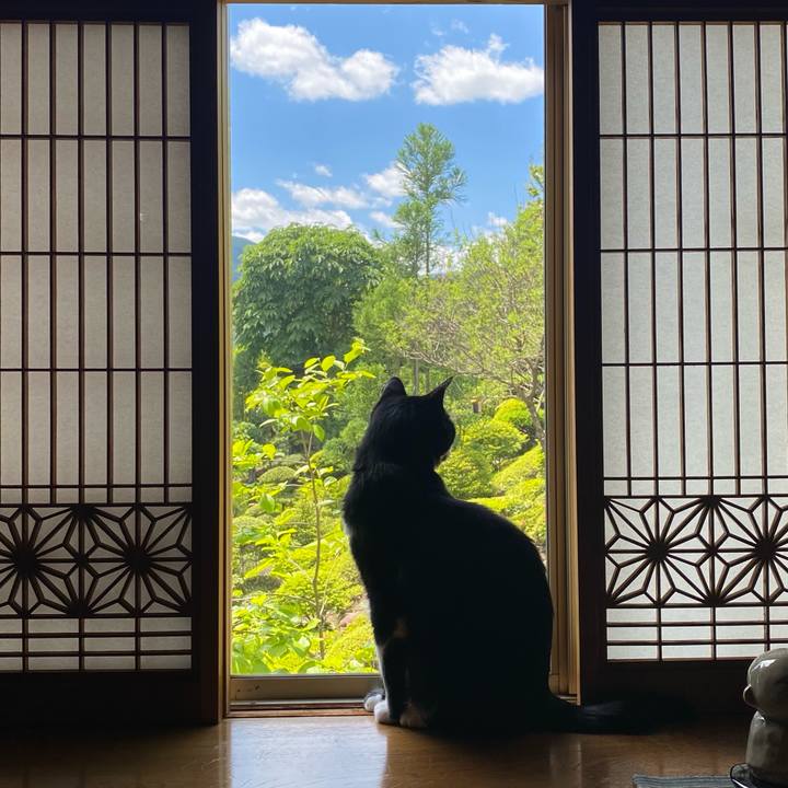 B63a22d2 5038 4e0c aa03 3a1172a78693 1622342302235