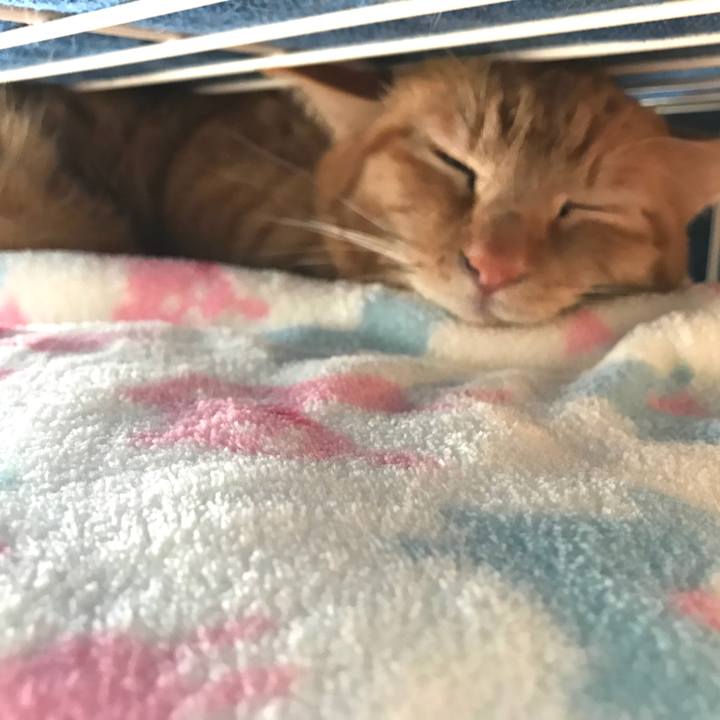 B63a3f8d 2def 4b86 8d56 f0927a33718c 1585524046472