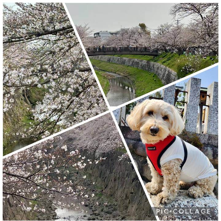 B63a4669 0ec7 446b 843e 08a6a99ff86c 1774774429577