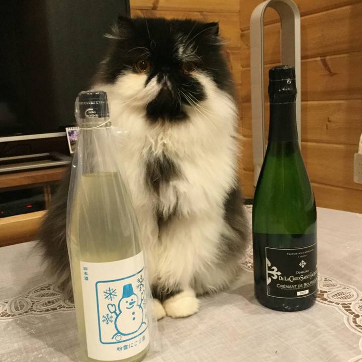 B63a51dc f37f 44e9 af85 87be498397e7 1514889193021