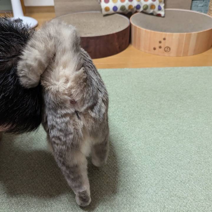 B63a7910 944e 4ea8 91d7 f67c24f9633a 1726318610631