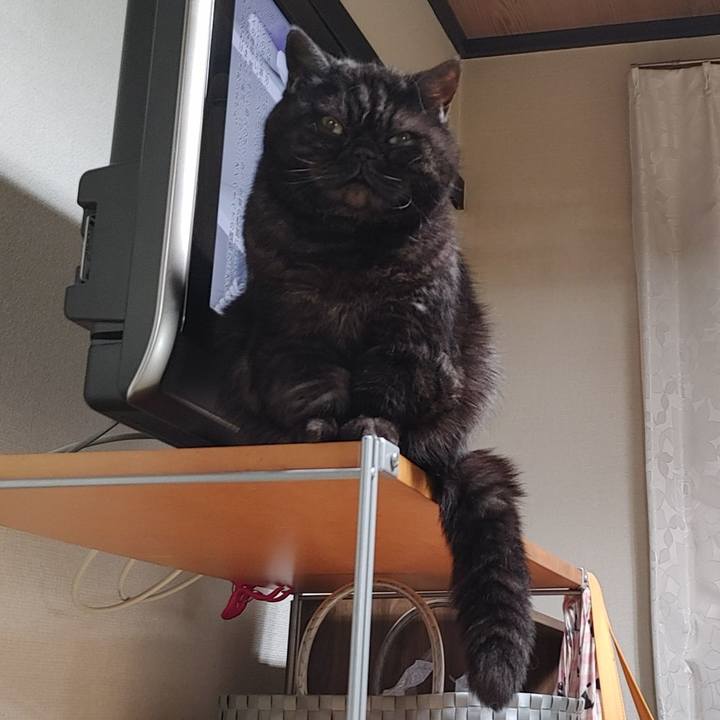 B63ae127 931e 4173 8ad4 a40bf407e85c 1647346865759