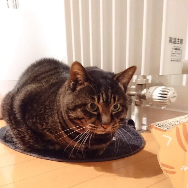 B63b19db 99c6 4919 98a6 3d6467732514 1608200189563