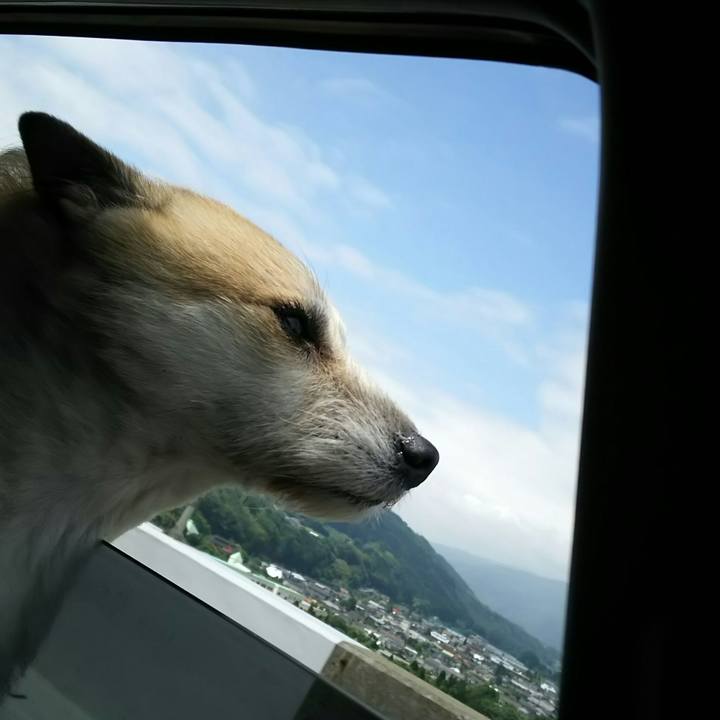 B63b44ff ec8a 4143 b337 e784cbc4a526 1529197813425