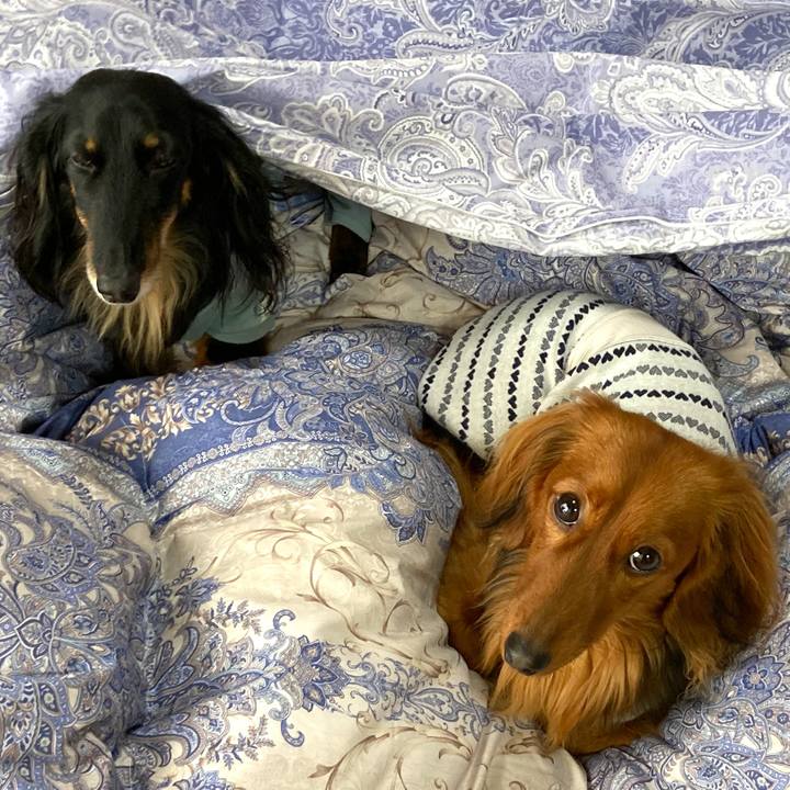 B63b528f 7e73 4134 8d43 bed1d7914ac9 1743164701488