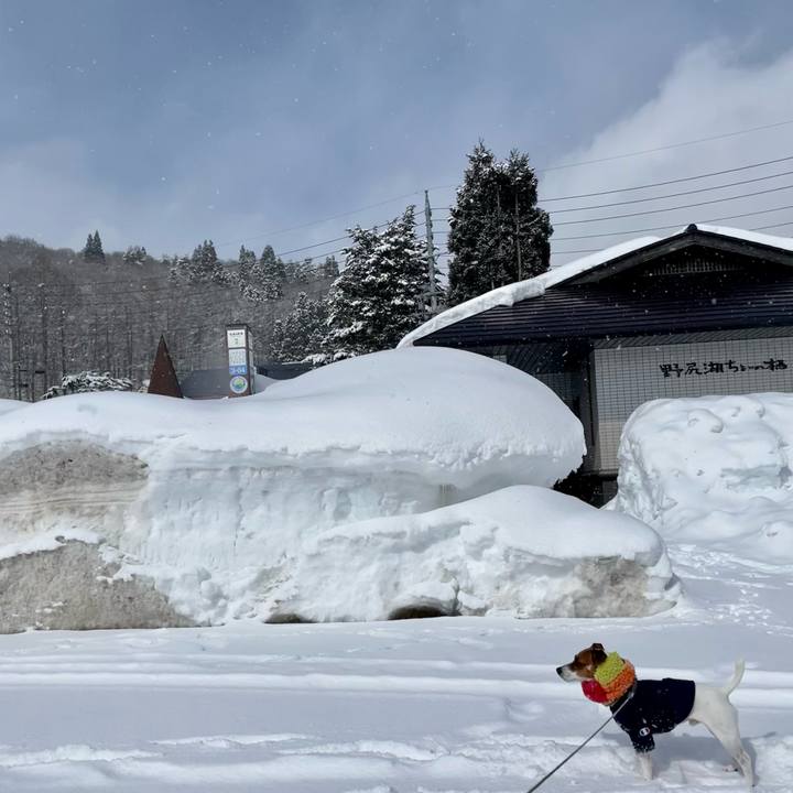 B63b639e da35 4904 8c34 8e4a0b5e5742 1645095497741