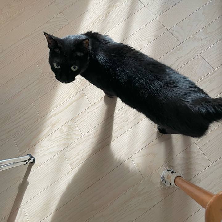 B63b78c2 72de 496f 8436 d71e3952a358 1652191297845