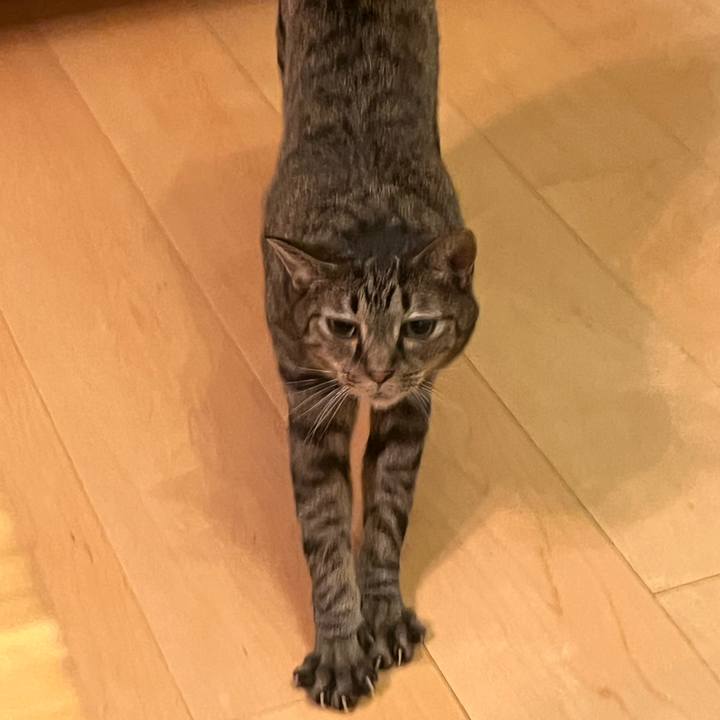 B63b7d71 0330 4c49 80f7 8980322193f6 1761133929886