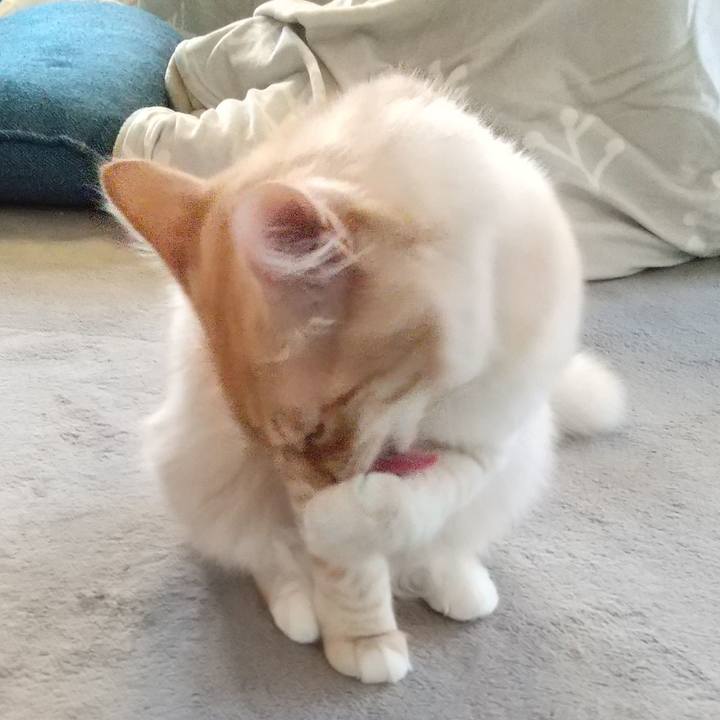 B63be961 e8e3 435e bcd0 ce97ca042a39 1616708195525