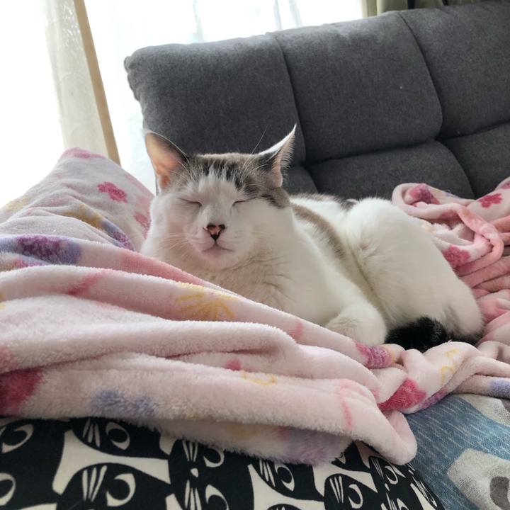 B63bf5e2 5472 438f 88ad 73a7d912ae55 1634780352046